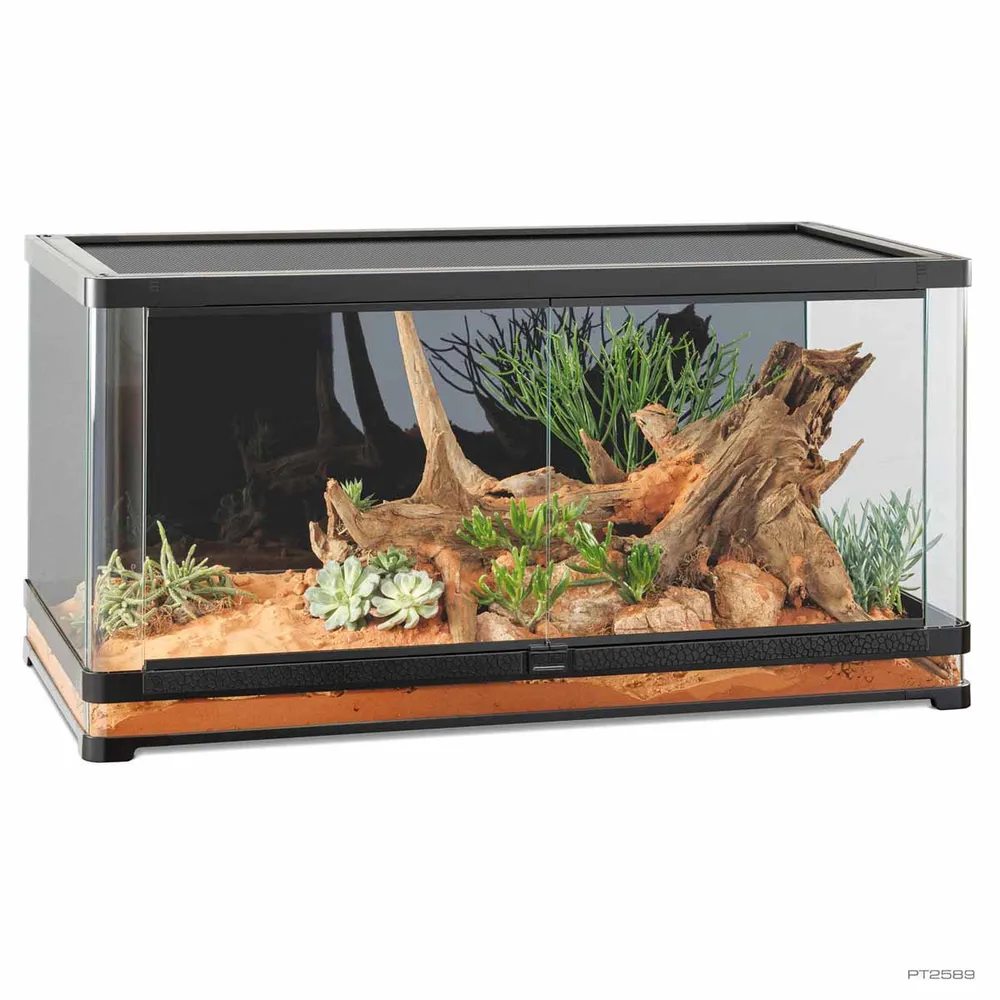 Exoterra Glas Terrarium Vista 120XL Buet rude